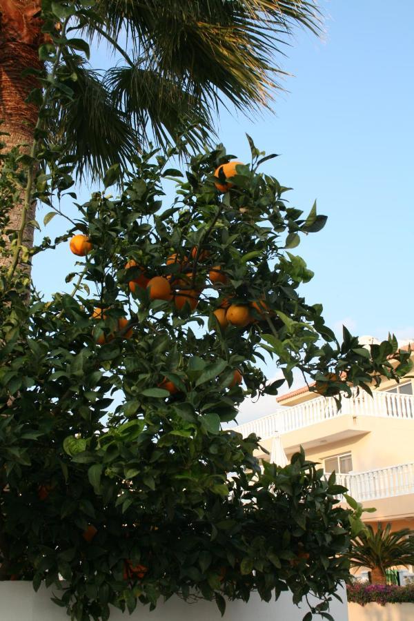 איה נאפה Nissi Villa מראה חיצוני תמונה